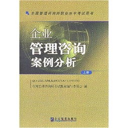 全國(guó)管理咨詢師職業(yè)水平考試用書(shū) 企業(yè)管理咨詢案例分析 上下
