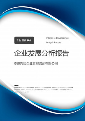 公司企業(yè)管理咨詢(xún)報(bào)告